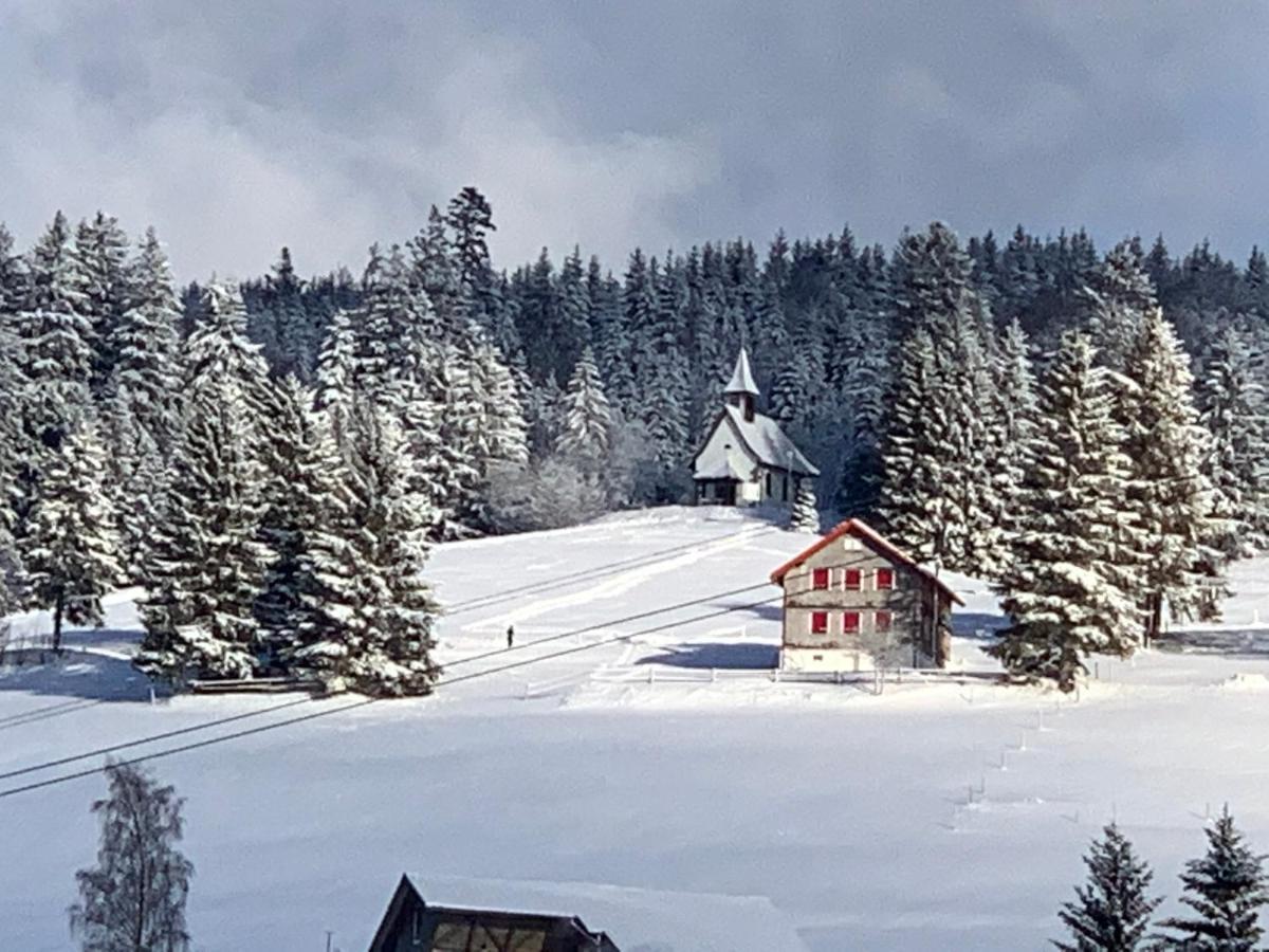 Haus Am Sonnenberg,Todtnauberg, Ferienwohnung 002, Direkt Am Skilift-Skipiste, Naehe Feldberg Exterior photo